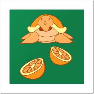 Orange Citrus Turtle Posters and Art